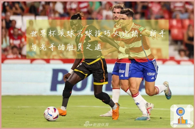 世界杯滚球买球技巧大比拼：新手与老手的胜负之道