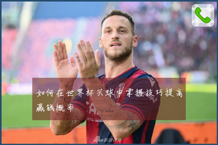 如何在世界杯买球中掌握技巧提高赢钱概率