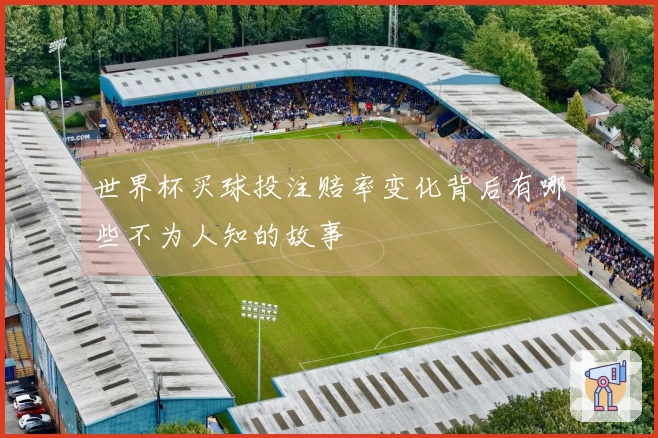 世界杯买球投注赔率变化背后有哪些不为人知的故事