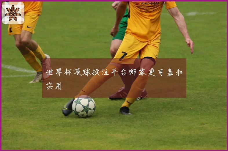 世界杯滚球投注平台哪家更可靠和实用