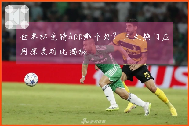 世界杯竞猜App哪个好？三大热门应用深度对比揭秘