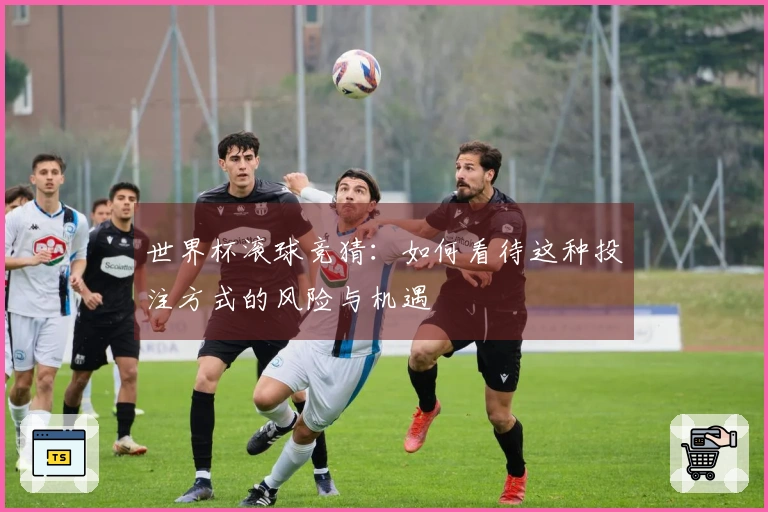 世界杯滚球竞猜：如何看待这种投注方式的风险与机遇