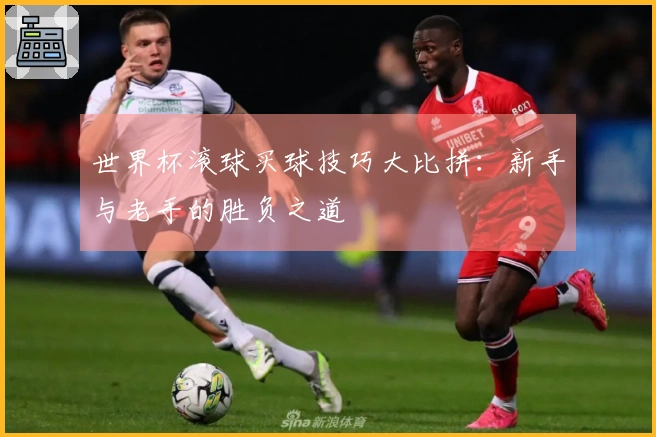 世界杯滚球买球技巧大比拼：新手与老手的胜负之道