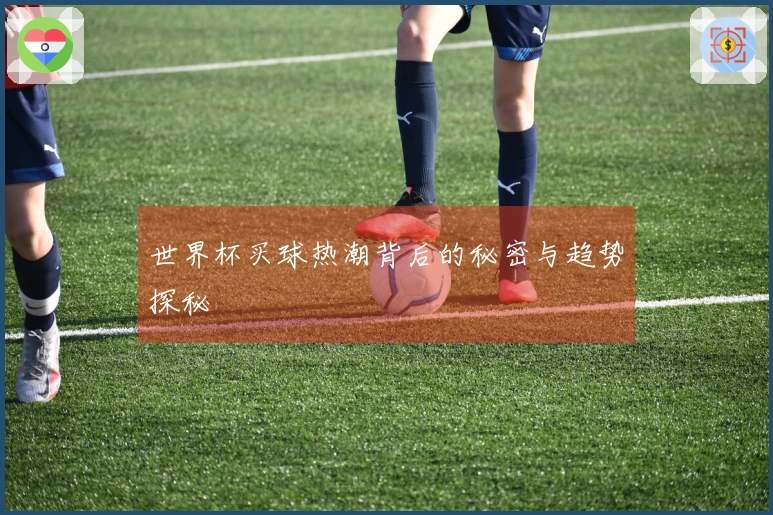 世界杯买球热潮背后的秘密与趋势探秘