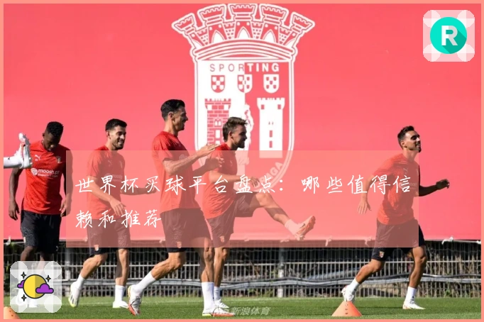世界杯买球平台盘点:哪些值得信赖和推荐
