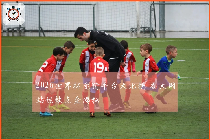 2026世界杯竞猜平台大比拼 各大网站优缺点全揭秘
