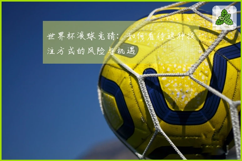 世界杯滚球竞猜：如何看待这种投注方式的风险与机遇