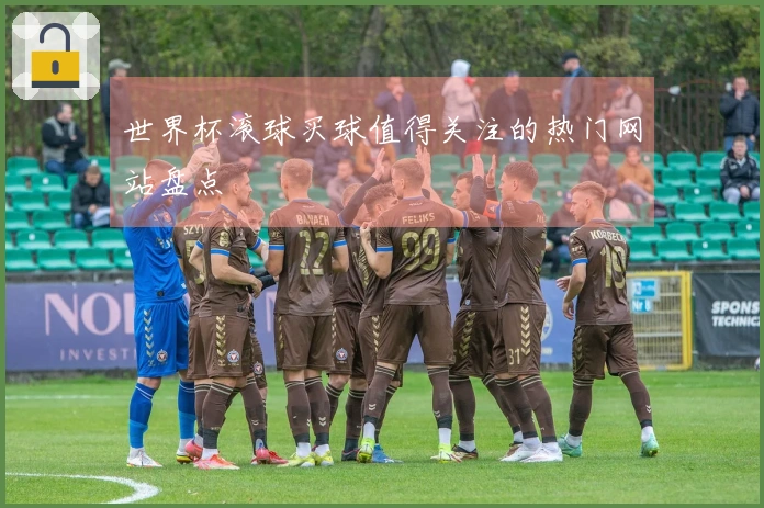 世界杯滚球买球值得关注的热门网站盘点
