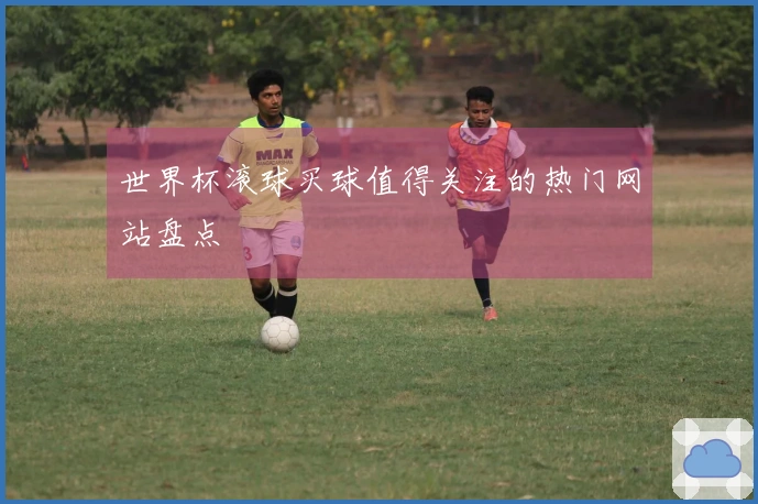 世界杯滚球买球值得关注的热门网站盘点