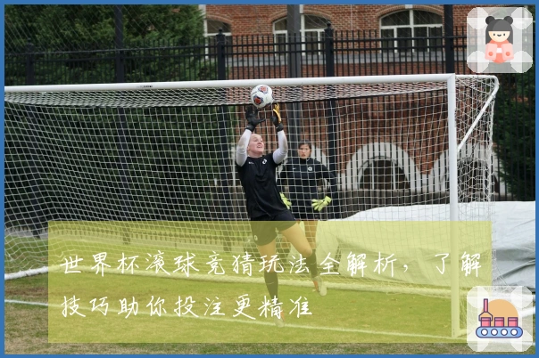 世界杯滚球竞猜玩法全解析，了解技巧助你投注更精准