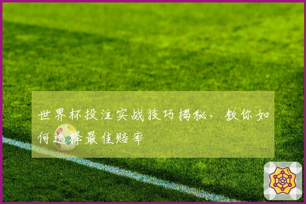 世界杯投注实战技巧揭秘，教你如何选择最佳赔率
